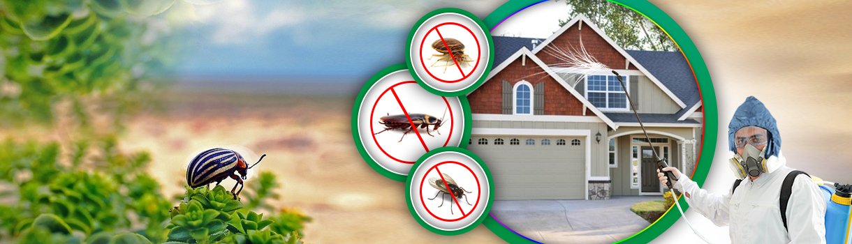 Kiezen Professional Anti-Termite Protection Technician